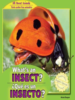 cover image of What's an Insect? / ¿Qué es un insecto?
